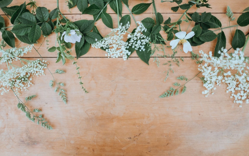 annie-spratt-OWq8w3BYMFY-unsplash (1)