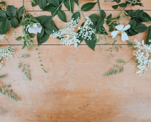 annie-spratt-OWq8w3BYMFY-unsplash (1)