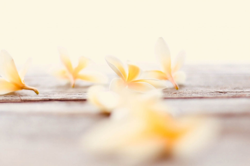 chelsea-audibert-lDEW4qMiizc-unsplash (1)