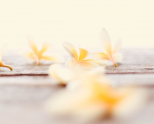 chelsea-audibert-lDEW4qMiizc-unsplash (1)