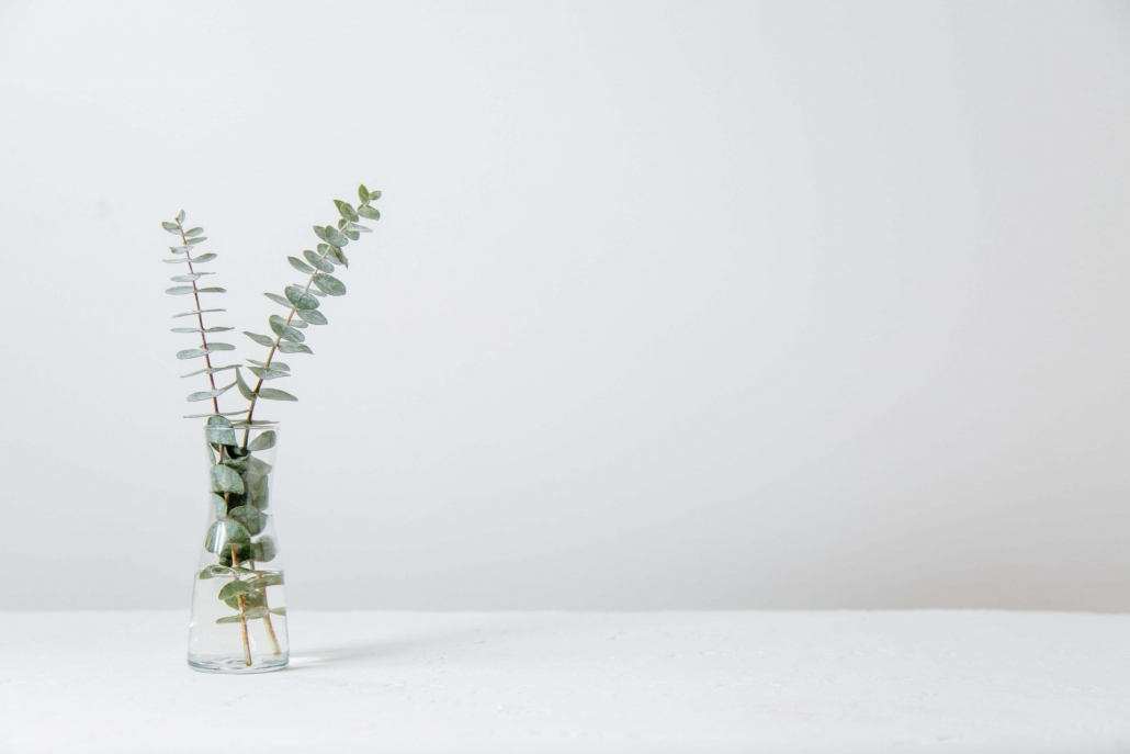 tim-chow-9IcKPSQ9G5Q-unsplash (1)