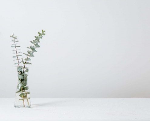 tim-chow-9IcKPSQ9G5Q-unsplash (1)
